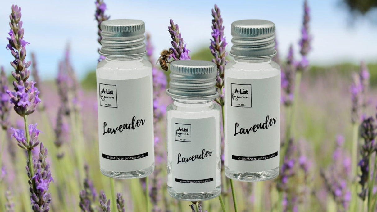 Lavender - A - List Fragrances