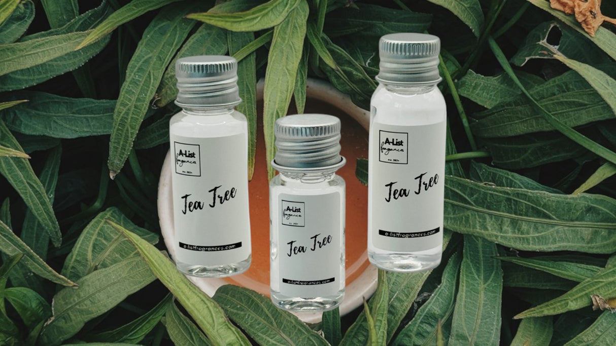 Tea Tree - A - List Fragrances